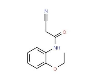 2-Cyano-N-(2-ethoxyphenyl)acetamide - chemical structure image