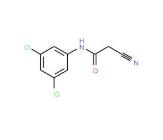 2-Cyano-N-(3,5-dichloro-phenyl)-acetamide (CAS 63035-00-7) - chemical structure image