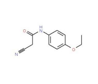 2-Cyano-N-(4-ethoxy-phenyl)-acetamide (CAS 51838-07-4) - chemical structure image