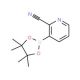 2-Cyanopyridine-3-boronic acid pinacol ester (CAS 878194-93-5) - chemical structure image