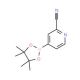 2-Cyanopyridine-4-boronic acid pinacol ester (CAS 741709-62-6) - chemical structure image