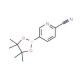 2-Cyanopyridine-5-boronic acid pinacol ester (CAS 741709-63-7) - chemical structure image