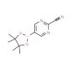 2-Cyanopyrimidine-5-boronic acid pinacol ester (CAS 1025708-31-9) - chemical structure image