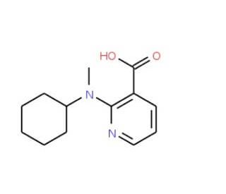 2-[Cyclohexyl(methyl)amino]nicotinic acid - chemical structure image