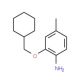 2-(Cyclohexylmethoxy)-4-methylaniline - chemical structure image