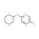 2-Cyclohexyloxy-5-iodopyridine - chemical structure image