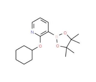 2-Cyclohexyloxypyridine-3-boronic acid pinacol ester (CAS 1073354-43-4) - chemical structure image