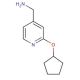 [2-(cyclopentyloxy)pyridin-4-yl]methylamine - chemical structure image