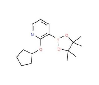 2-Cyclopentyloxypyridine-3-boronic acid pinacol ester (CAS 1073371-90-0) - chemical structure image