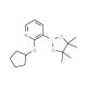 2-Cyclopentyloxypyridine-3-boronic acid pinacol ester (CAS 1073371-90-0) - chemical structure image