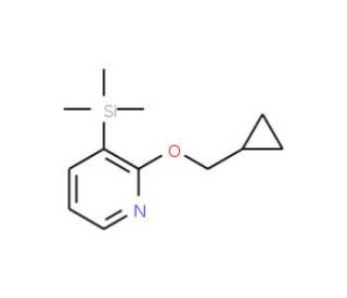 2-Cyclopropylmethoxy-3-trimethylsilanyl-pyridine (CAS 782479-90-7) - chemical structure image