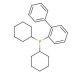 2-(Dicyclohexylphosphino)biphenyl 的分子结构, CAS编号: 247940-06-3 2-(Dicyclohexylphosphino)biphenyl (CAS 247940-06-3) - chemical structure image