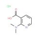2-(dimethylamino)nicotinic acid hydrochloride - chemical structure image