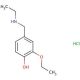 2-ethoxy-4-[(ethylamino)methyl]phenol hydrochloride - chemical structure image