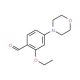 2-Ethoxy-4-morpholin-4-yl-benzaldehyde - chemical structure image