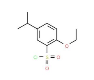 2-Ethoxy-5-isopropyl-benzenesulfonyl chloride - chemical structure image