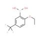2-Ethoxy-5-(trifluoromethyl)benzeneboronic acid (CAS 850593-10-1) - chemical structure image