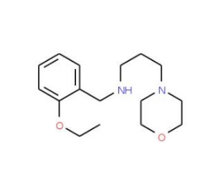 (2-Ethoxy-benzyl)-(3-morpholin-4-yl-propyl)-amine - chemical structure image