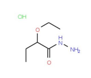 2-Ethoxybutanohydrazide hydrochloride - chemical structure image