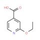 2-Ethoxyisonicotinic acid (CAS 91940-86-2) - chemical structure image
