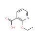 2-Ethoxynicotinic acid (CAS 35969-54-1) - chemical structure image
