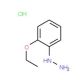 (2-Ethoxyphenyl)hydrazine hydrochloride - chemical structure image