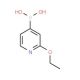 2-Ethoxypyridin-4-ylboronic acid (CAS 1072946-58-7) - chemical structure image