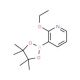 2-Ethoxypyridine-3-boronic acid pinacol ester (CAS 848243-23-2) - chemical structure image