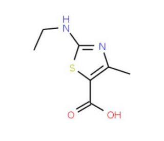 2-Ethylamino-4-methyl-thiazole-5-carboxylic acid (CAS 162651-09-4) - chemical structure image