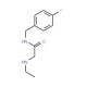 2-(ethylamino)-N-[(4-fluorophenyl)methyl]acetamide - chemical structure image