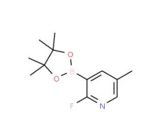 2-Fluoro-5-methylpyridine-3-boronic acid, pinacol ester (CAS 1073371-96-6) - chemical structure image