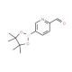 2-Formylpyridinyl-5-boronic acid pinacol ester (CAS 1073354-14-9) - chemical structure image