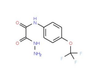 2-Hydrazino-2-oxo-N-[4-(trifluoromethoxy)phenyl]-acetamide - chemical structure image