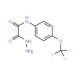 2-Hydrazino-2-oxo-N-[4-(trifluoromethoxy)phenyl]-acetamide - chemical structure image