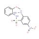 2-Hydrazino-N-(2-methoxy-phenyl)-5-nitro-benzenesulfonamide - chemical structure image