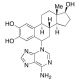 2-Hydroxy Estradiol 6-N3-Adenine - chemical structure image