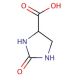 2-Imidazolidone-4-carboxylic acid 的分子结构, CAS编号: 41371-53-3 2-Imidazolidone-4-carboxylic acid (CAS 41371-53-3) - chemical structure image