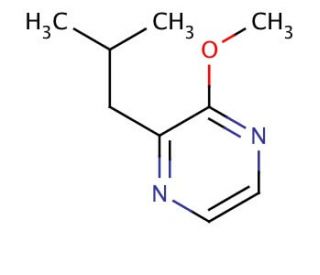 2-Isobutyl-3-methoxypyrazine (CAS 24683-00-9) - chemical structure image