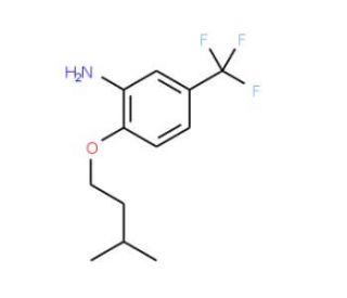 2-(Isopentyloxy)-5-(trifluoromethyl)aniline - chemical structure image