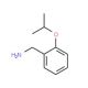 (2-Isopropoxyphenyl)methylamine (CAS 227199-51-1) - chemical structure image