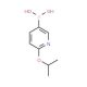 2-Isoproxypyridine-5-boronic acid (CAS 870521-30-5) - chemical structure image