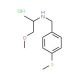 (2-Methoxy-1-methyl-ethyl)-(4-methylsulfanyl-benzyl)-amine hydrochloride - chemical structure image