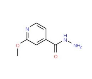 2-Methoxyisonicotinohydrazide (CAS 19353-97-0) - chemical structure image