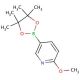 2-Methoxypyridine-5-boronic acid pinacol ester (CAS 445264-61-9) - chemical structure image