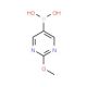 2-Methoxypyrimidine-5-boronic acid (CAS 628692-15-9) - chemical structure image