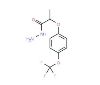 2-Methyl-2-[4-(trifluoromethoxy)phenoxy]acetic hydrazide (CAS 175204-37-2) - chemical structure image