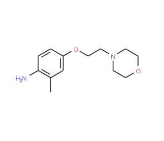 2-Methyl-4-[2-(4-morpholinyl)ethoxy]phenylamine - chemical structure image