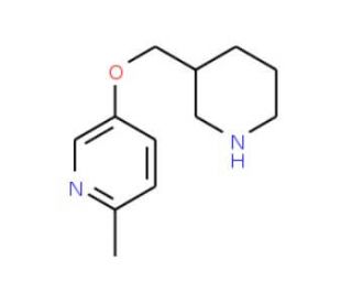 2-Methyl-5-(3-piperidinylmethoxy)pyridine (CAS 914299-47-1) - chemical structure image