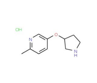 2-Methyl-5-(3-pyrrolidinyloxy)pyridine hydrochloride - chemical structure image