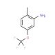 2-Methyl-5-trifluoromethoxyaniline - chemical structure image